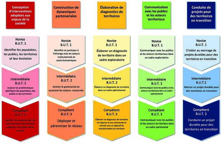 Compétences BUT Villes et Territoires Durables catalogue formations taille réduite.jpg